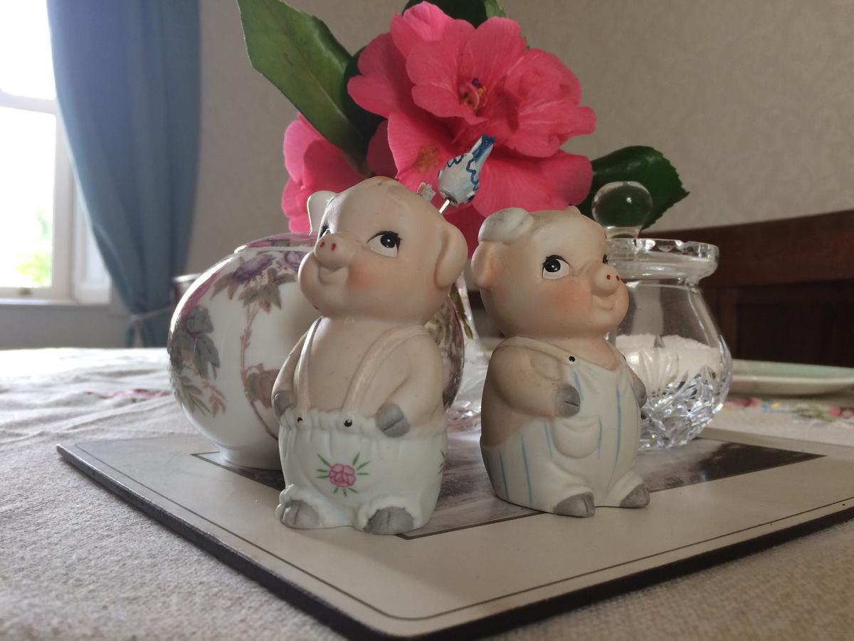 Grey Gables Farmhouse B&B Innishannon Екстериор снимка
